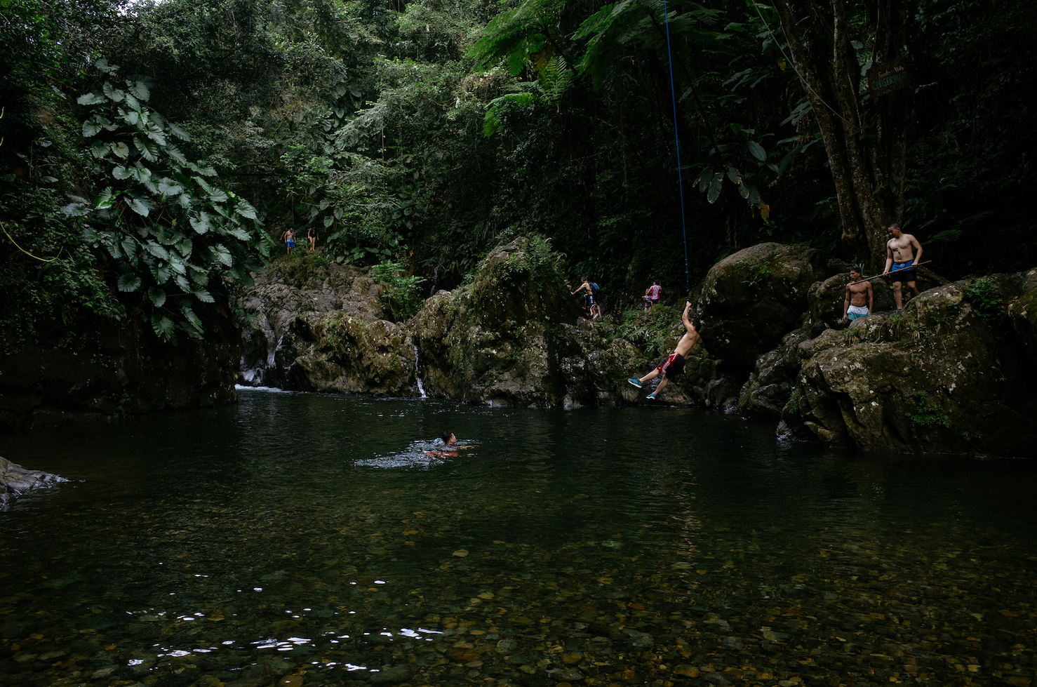 Swinging and water jumping in the forest, Fajado.